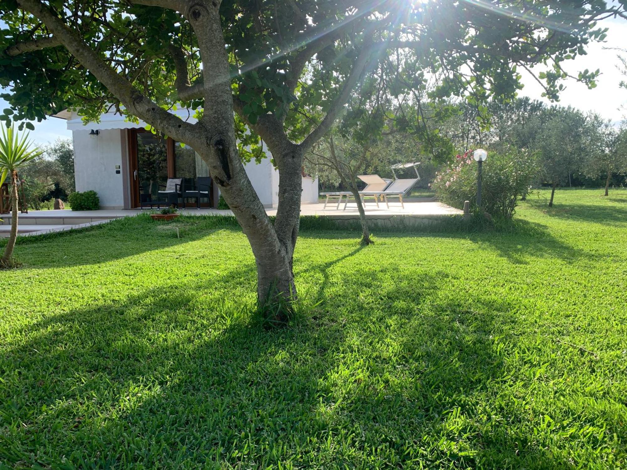 אלגהרו La Casetta Holiday Home מראה חיצוני תמונה