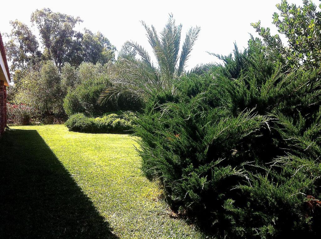 אלגהרו La Casetta Holiday Home מראה חיצוני תמונה